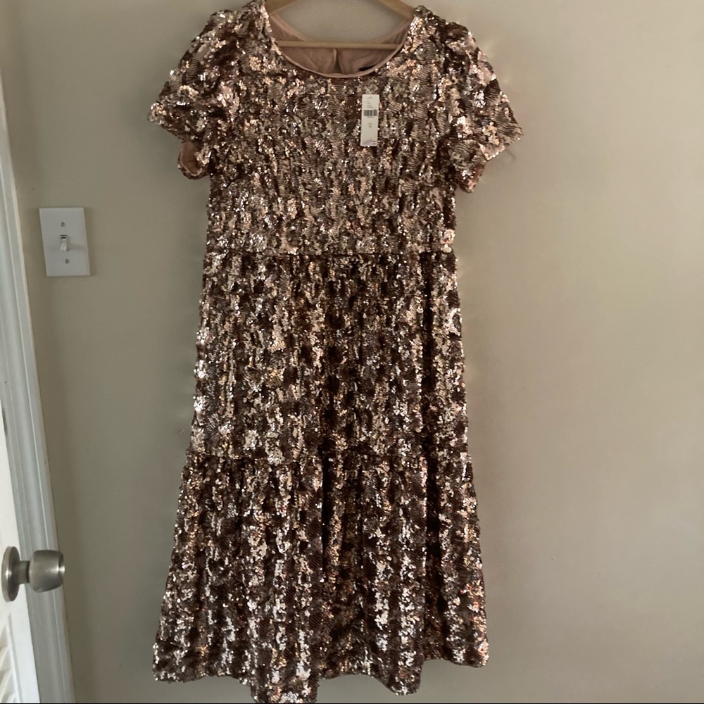 NWT Maeve Bernadette Anthropologie Sequin Dress Size M